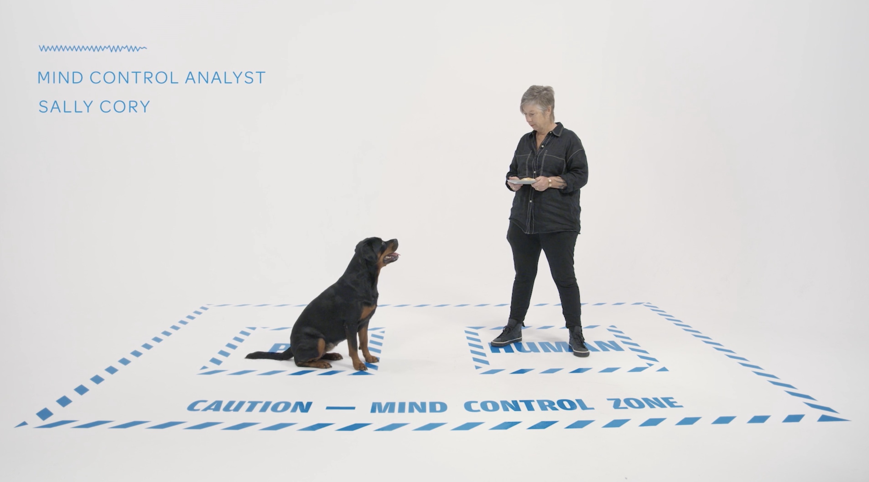Southern Cross Pet Insurance builds on Paws Off! work with ‘Mind Control’ launch via TBWA\NZ